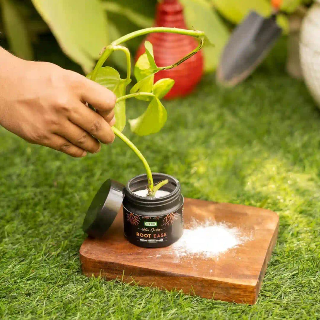 IFFCO Urban Garden Root Ease Rooting Hormone Powder, Fast Root Growth For Plant Cuttings And Grafting - Image 7