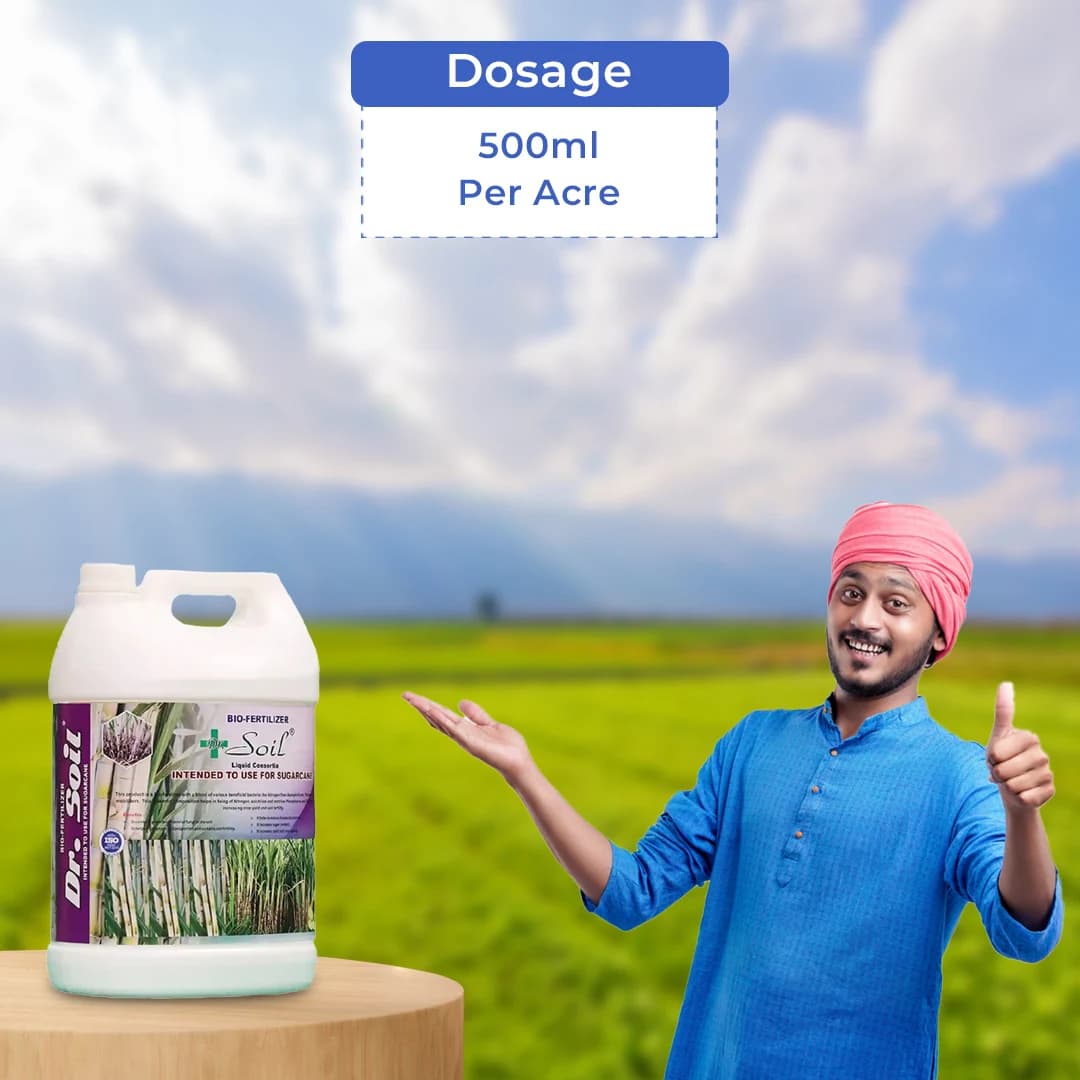Dr.Soil Sugarcane Intended Use for Sugarcane (Liquid Consortia) (ISO certified) (Dr.Soil Sugarcane special) - Image 5