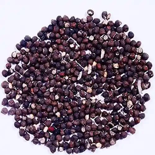 RK Seeds Silk Cotton Tree Seeds , Malabar Semul , Indian Bombax , Kapok Tree , Silk Cotton , Red Cotton Tree , Red Silk Cotton seeds for plantation - Image 2