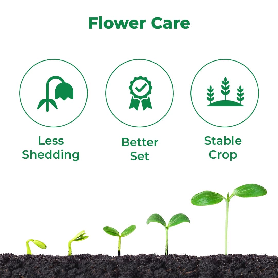 Geolife Balance Nano Flower Drop Arrester , Suitable For Every Stages Of Plant Growth , Promotes Efficient Nutrient Absorption , Unique Combination - Image 3