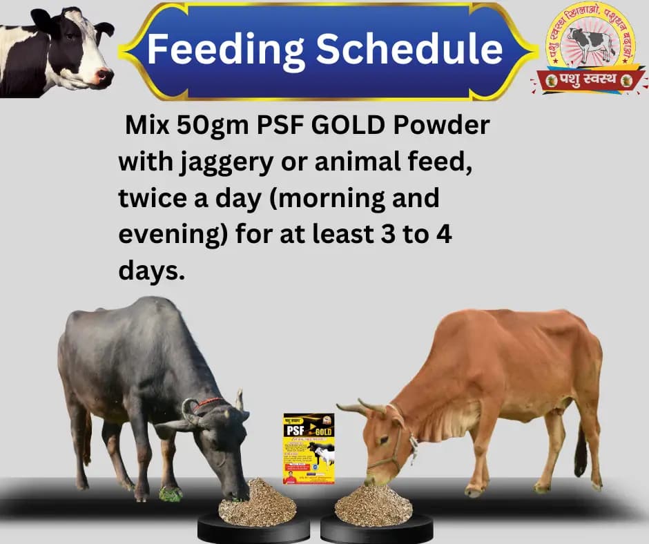 PASHU SVASTH PSF GOLD FANKI-A, Complete Animal Health Supplement Made From Traditional Herbs - Image 3