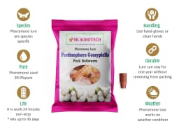 SK Agrotech Pectinophora Gossypiella Pheromone Trap With Lure - Effective Solution For Cotton 6