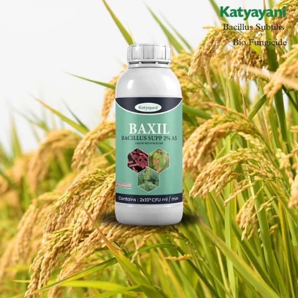 Katyayani Baxil Bacillus Supp 2% AS Liquid Bio Fungicide, Solution For Effective Control of Fungal Diseases In Crops - Image 2
