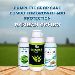 Ramban Combo (Neemz 500 ML + Forever 500 ML + NB-80 250 ML) For Initial Growth Stage Use In Any Crop 2