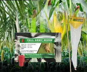 Active Ipm Funnel Trap + Spodoptera Frugiperda Pheromone Lure, Pest Control Tool For Fall Armyworm - Image 1