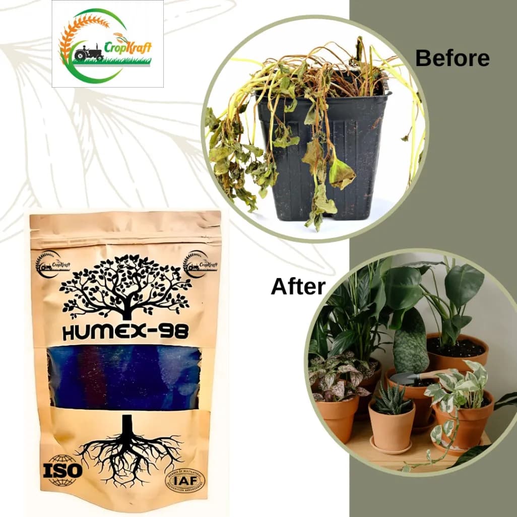 Crop Kraft Humex 98 Humic Acid 98%, Premium Humic Acid Flakes For Soil Enhancement & Plant Growth, Safe For Organic Farming And Home Gardening - Image 4