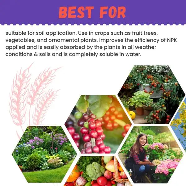 Katyayani Zinc - Chelated Micronutrient Fertilizer - Image 5