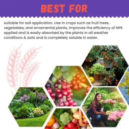 Katyayani Zinc EDTA 12% Chelated Micronutrient Fertilizer, Boosts Metabolic and Energy Processes In Plants 5