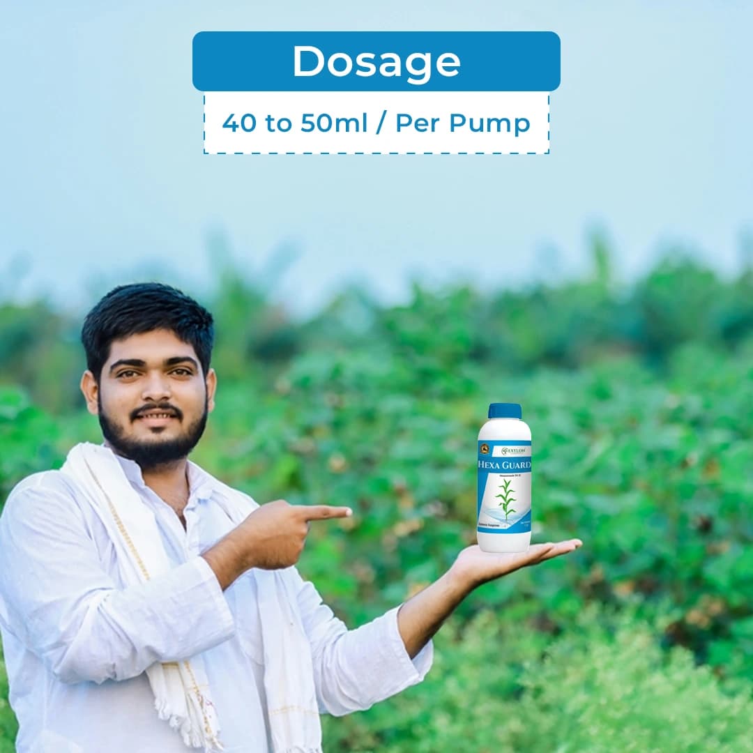 Exylon Hexaguard Hexaconazole 5% SC Fungicide, Effective For Rust And Mildew Control In Crops - Image 5