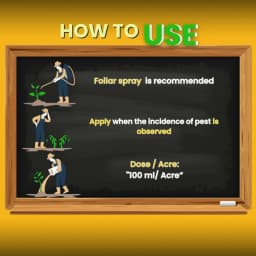 Katyayani Finish It Insecticide, Control For Cabbage Butterfly, Armyworm, Natural Larvicide For Crops (All In One Larvicide) 7