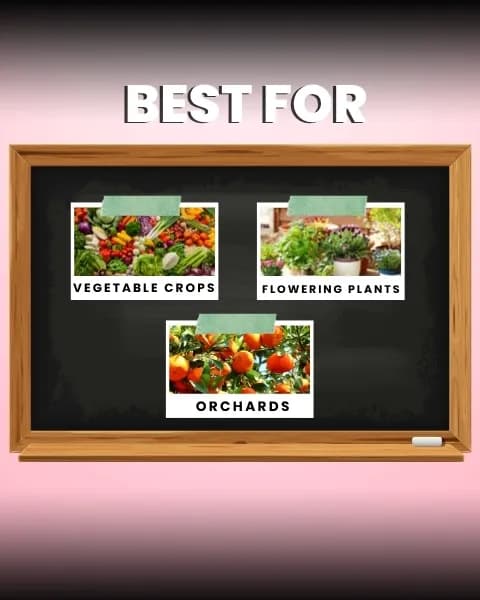 Katyayani Flowering Fertilizer Booster + Mix Micro - Image 9