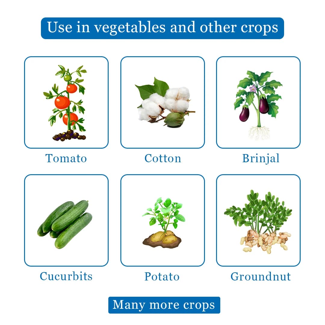 Shivalik Sactara - Thiamethoxam 25% WG Insecticide, Best Use Against Brown Plant Hopper, Green Leaf hopper etc - Image 4