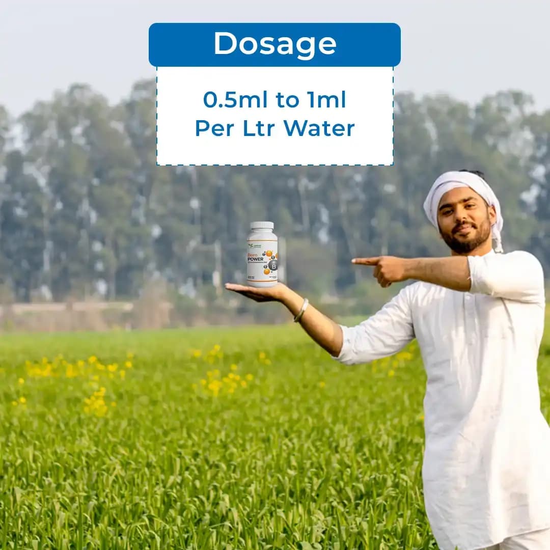Jaipur Bio Fertilizers Boro Power Boron Ethanolamine 10% EC Suspension Concentrate For Plants. - Image 5