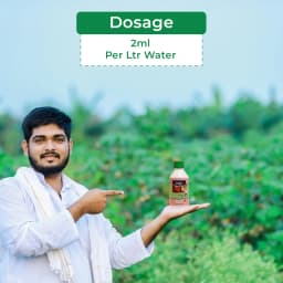 Dr. Bacto\'s PSB, Phosphate Solubilizing Bacteria Organic Fertilizer, Harmless, Eco-friendly, And Low-Cost Agro-Input. 5