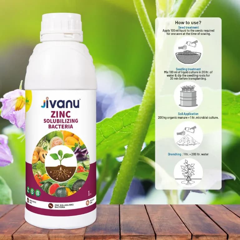 Green Revolution Jivanu ZSB Zinc Solubilizing Bacteria Liquid Bio Fertilizer, Boosts Soil Fertility And Sustainability - Image 6