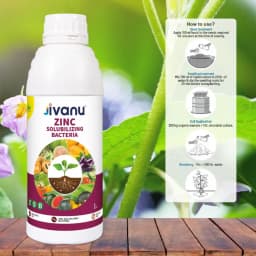 Green Revolution Jivanu ZSB Zinc Solubilizing Bacteria Liquid Bio Fertilizer, Boosts Soil Fertility And Sustainability 6