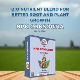 EBS NPK Consortia Bio Fertilizer, 5x10^8 Contains Bacteria that Fix Nitrogen and Phosphorus From the Atmosphere, Use for Plants & Garden 2
