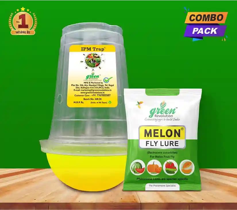 IPM Trap With Melon Fly Pheromone Lure For Controlling Bactrocera Cucurbitae. For Cucumber, Bottle Gourd, Bitter Gourd, Pumpkin, Water Melon - Image 2