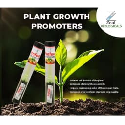 Zeal Biological Profood Plant Growth Promoter, Increases Seed Germination And Shoot Growth, Resulting In Higher Yield 6