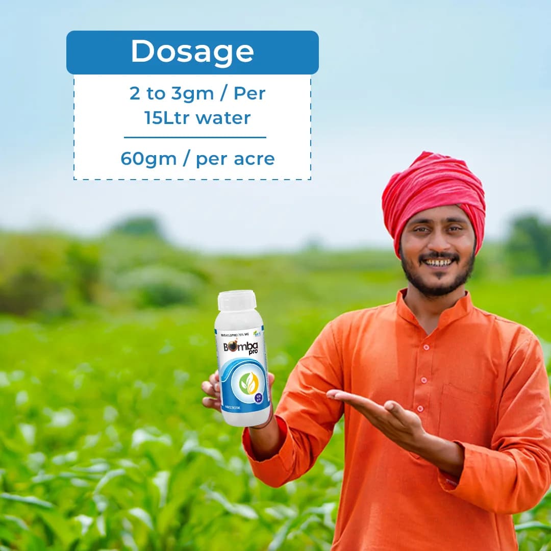 Bomba Pro Insecticide - Imidacloprid 70% WG - Image 5