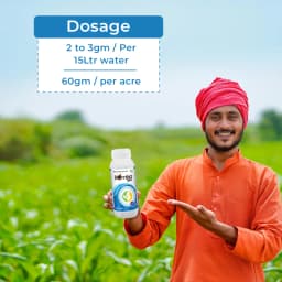 Bomba Pro Insecticide - Imidacloprid 70% WG 5