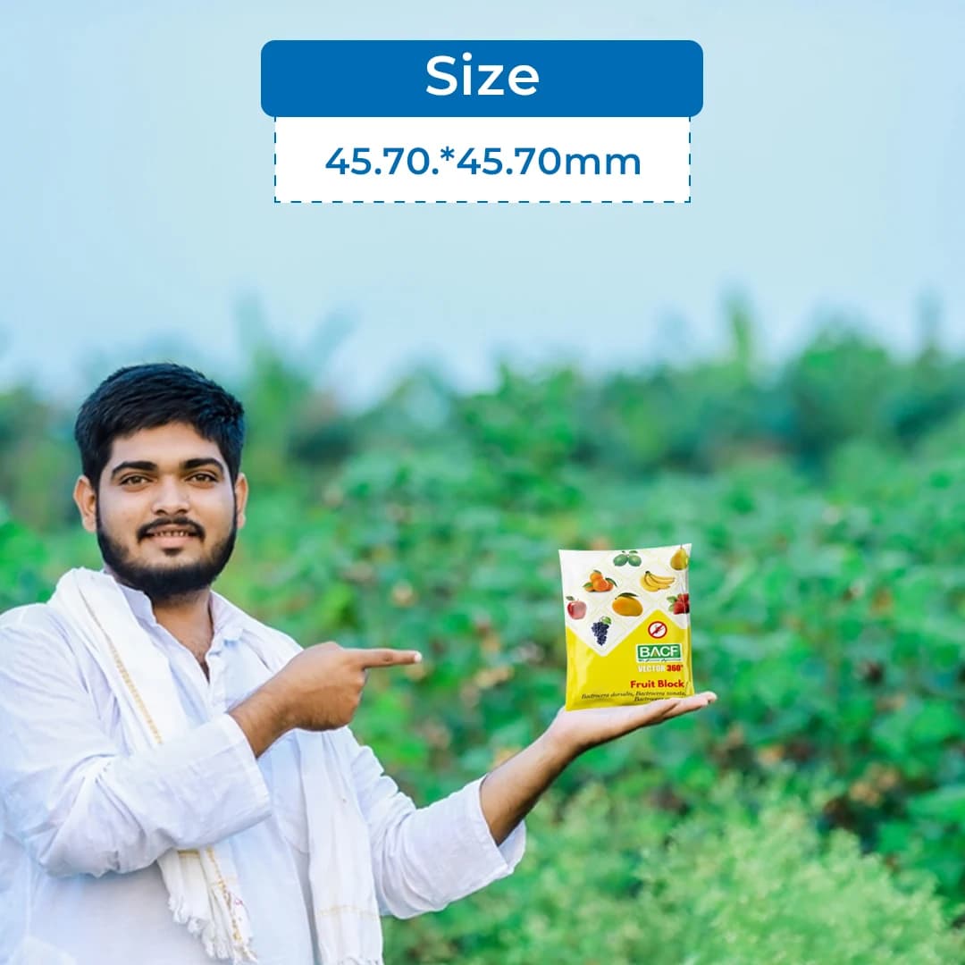 BACF Vector 360 Fruit Block Lures, Bactrocera Dorsalis, Bactrocera Zonata, Bactrocera Correcta Lures - Image 5