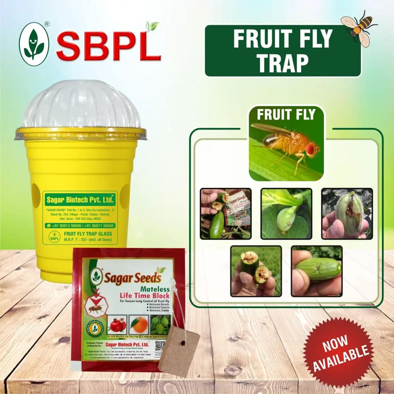 Sagar Fruit Fly Trap Glass, Bactocera Cucurbitae Lure, Effective Melon & Fruit Fly Control - Image 6