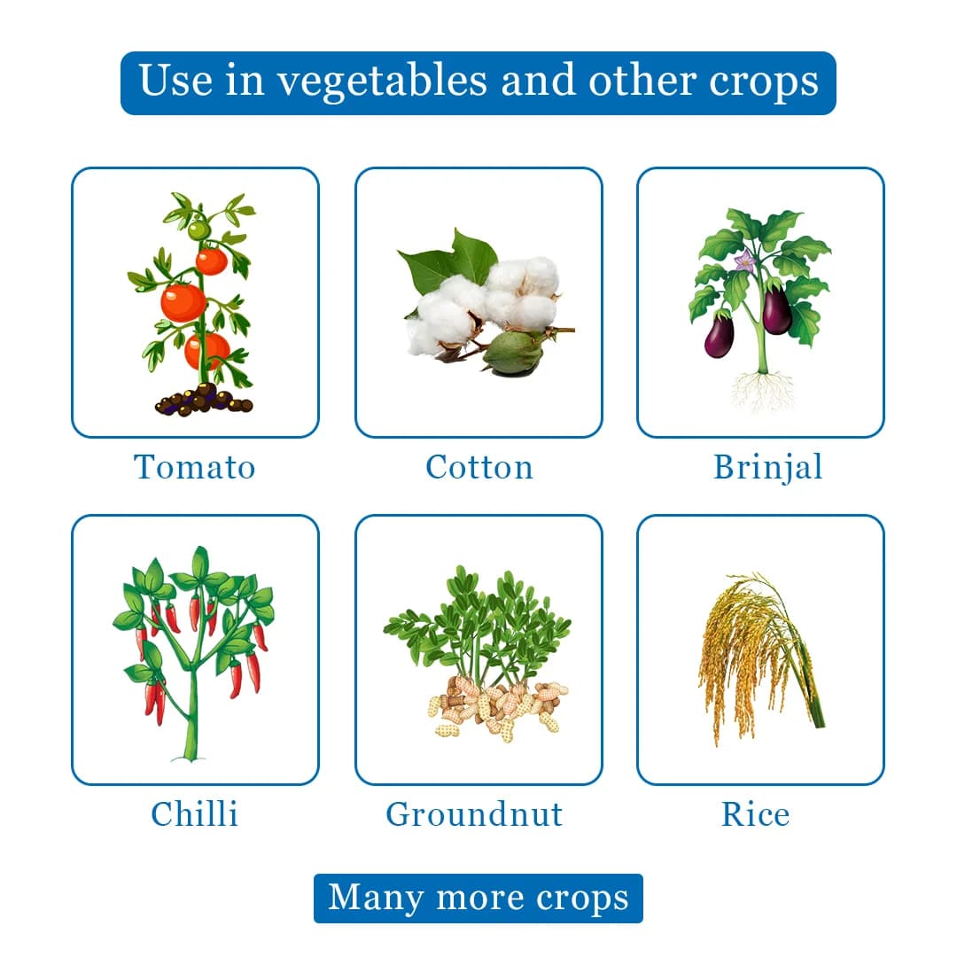 Hexanob - Hexaconazole 5% SC, Highly Effective Systemic Fungicide to Control Powdery Mildew - Image 4