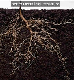 Humate India Organic Advanced Seaweed Extract Minerals, Organic Fertilizer, 100% Natural 2