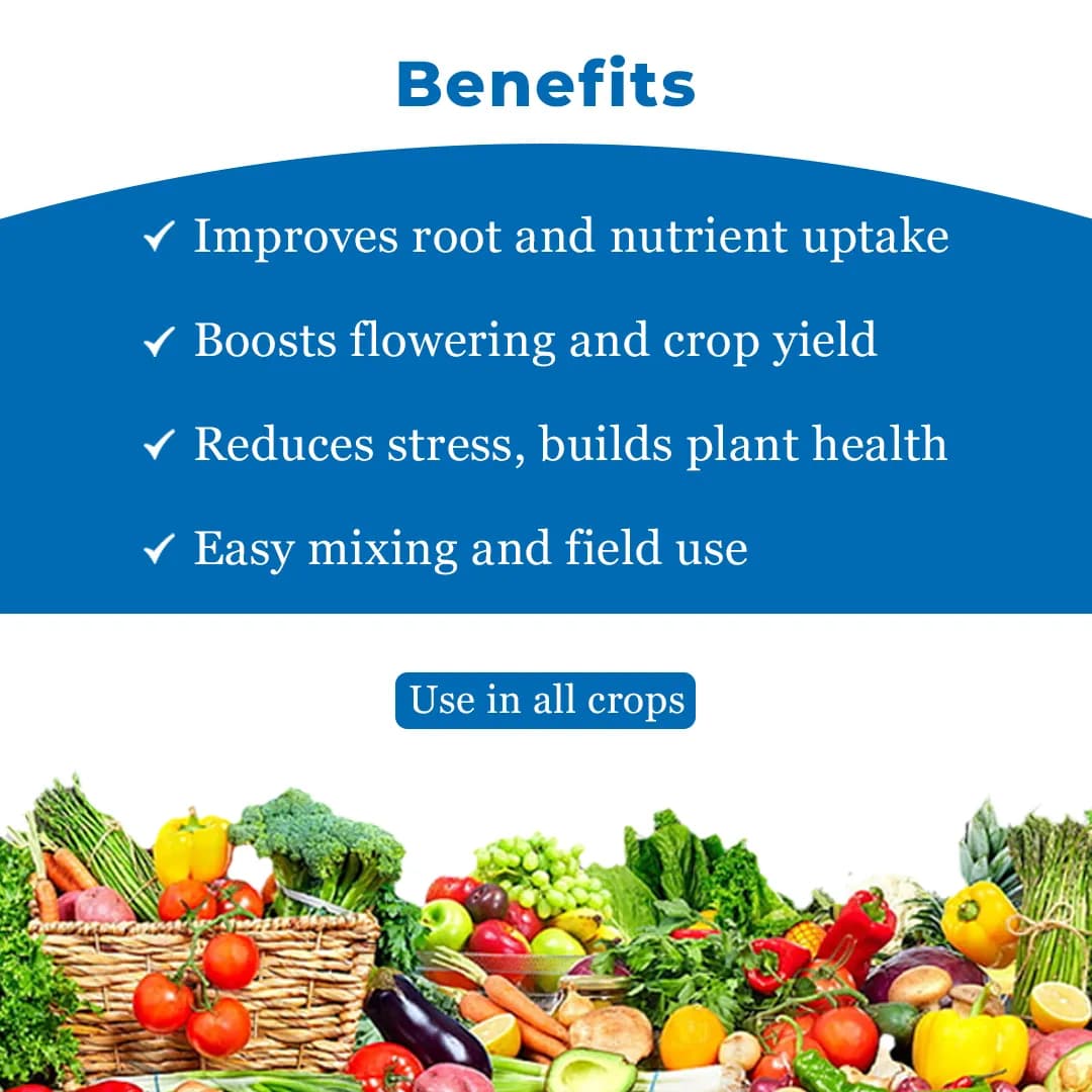 Ju Vita Gold Potassium Humate (68%) and Potassium Oxide (10%), Plant Growth Regulator, Enriched Organic Bio Enhancer - Image 4