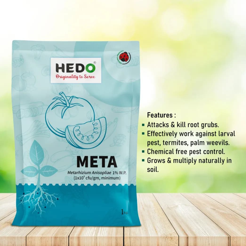 Hedo Meta (Metarhizium Anisopliae) Bio Pesticide, Effective Pest Control Against A Wide Range Of Insects - Image 4