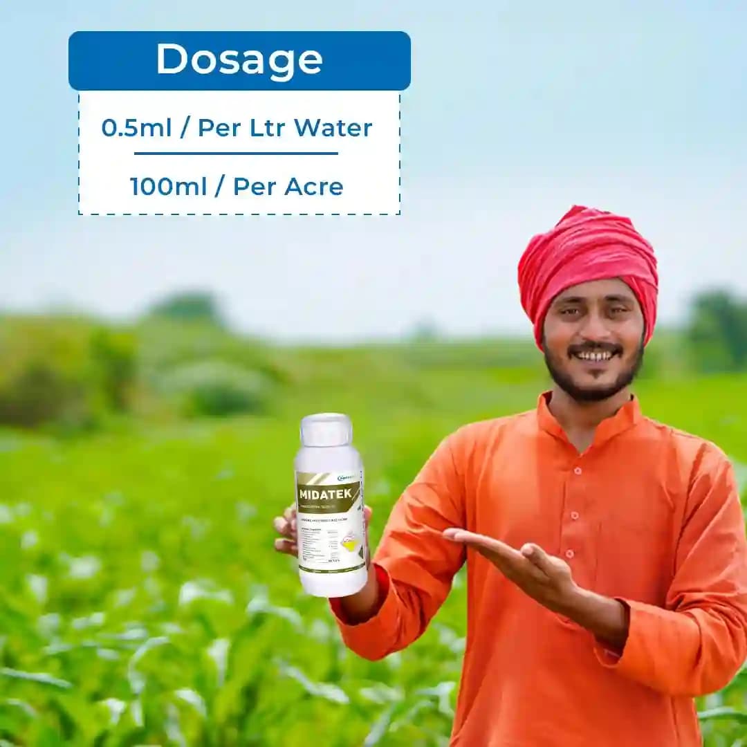 ಮಿಡಾಟೆಕ್ ಕೀಟನಾಶಕ - ಇಮಿಡಾಕ್ಲೋಪ್ರಿಡ್ 30.5% SC - Image 5