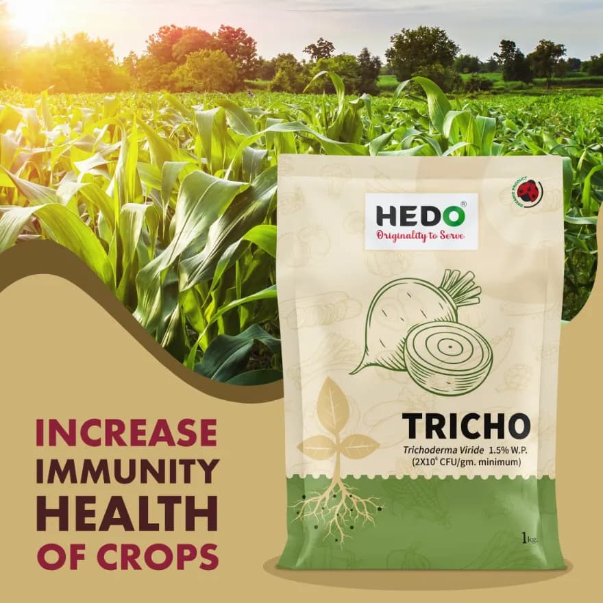 HEDO Tricho Trichoderma Viride 1.5% WP Bio Pesticide, Control A Wide Range of Soil And Seed Borne Fungal Diseases - Image 8