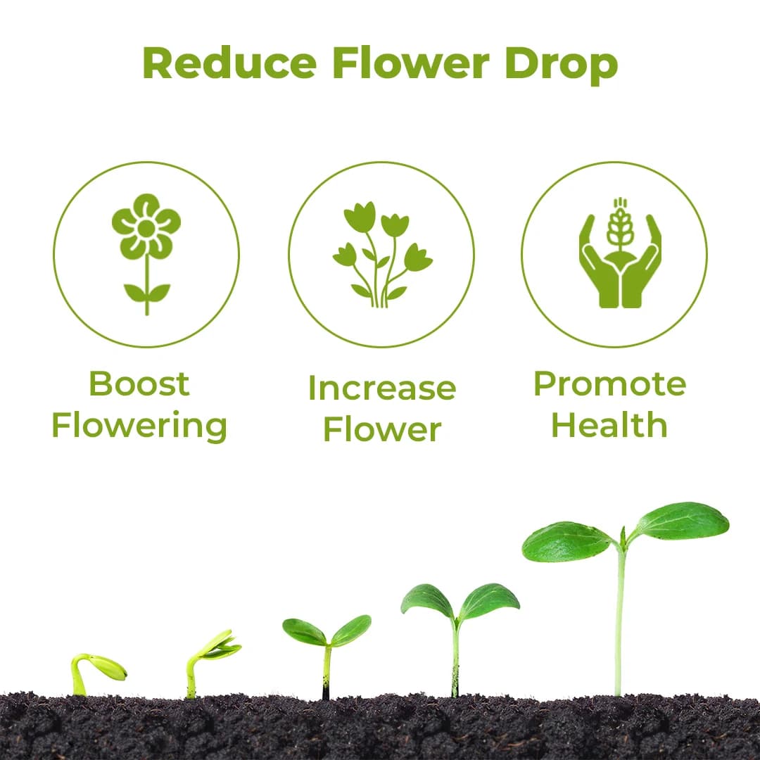 HPM Super Sonata - Plant Growth Regulator - Image 3