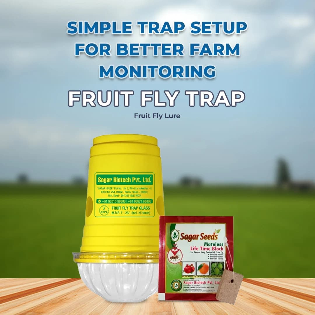 Sagar Fruit Fly Trap Glass, Bactocera Cucurbitae Lure, Effective Melon & Fruit Fly Control - Image 2