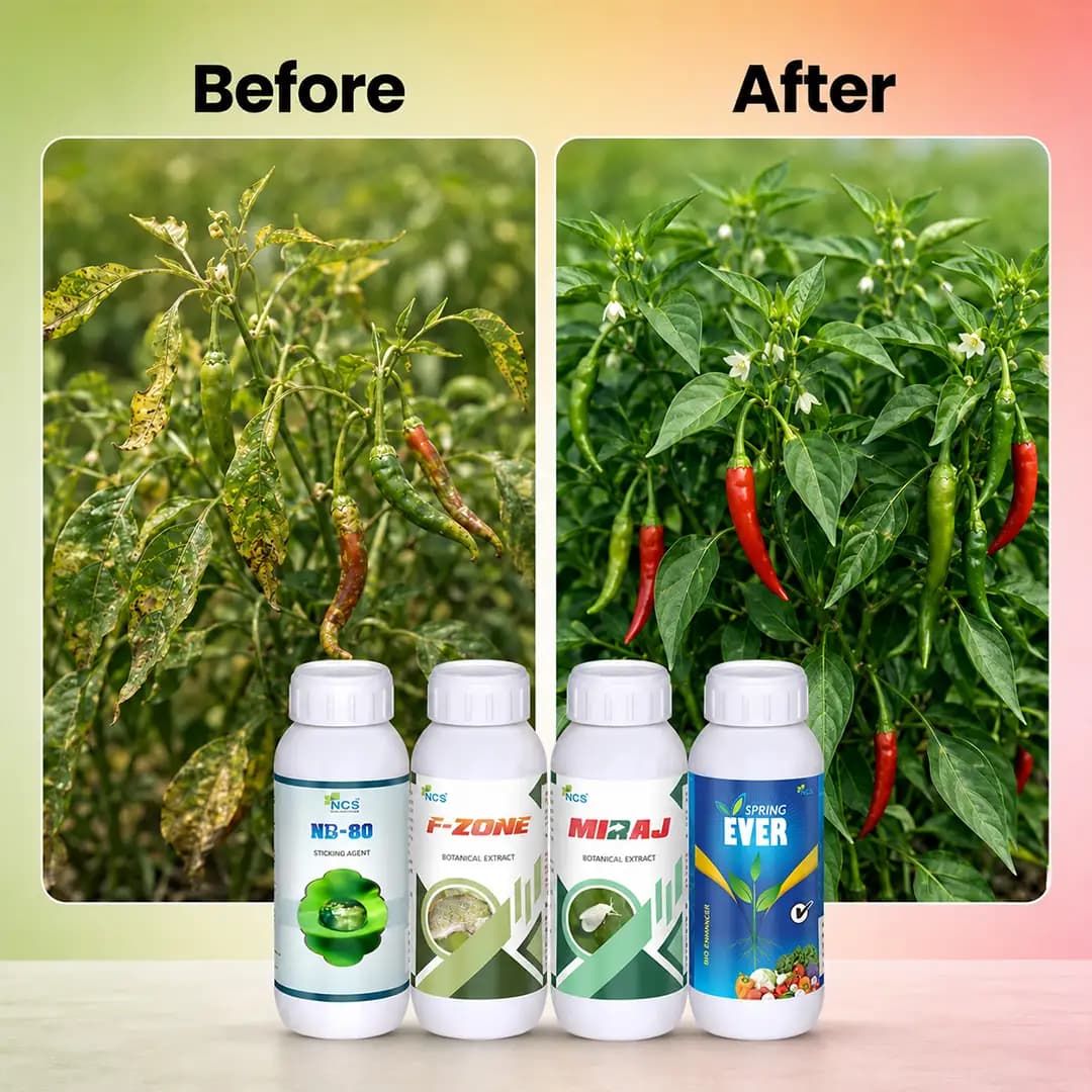 Suraksha Kit Sucking Pest Control at Growth Stage 40-45 Days (F-Zone 250 ML + Miraj 250 ML + Spring Ever 1 Ltr + NB 80 250 ML) - Image 6