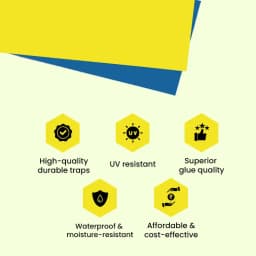 IFFCO Urban Garden Sticky Traps Pest Control, High-Quality Durable Waterproof & UV-Resistant (Yellow & Blue) 4