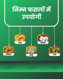 Katyayani Thioxam Thiamethoxam 25%WG Insecticide for Plants and Home Garden control for Sucking Pests Leaf Folder Paddy Whitefly Thrips In Rice Cotton 4