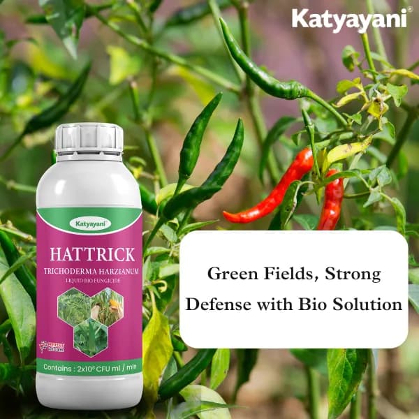 Katyayani Hattrick Trichoderma Harzianum Liquid Bio Fungicide, Advanced Disease Control For Robust Plant Health - Image 3