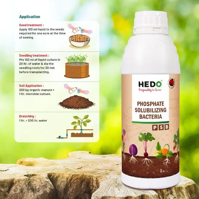 HEDO Phosphate Solubilizing Bacteria Liquid Bio Fertilizer, For Agriculture, Garden, Soil Fertility And Plant Nutrition. - Image 4