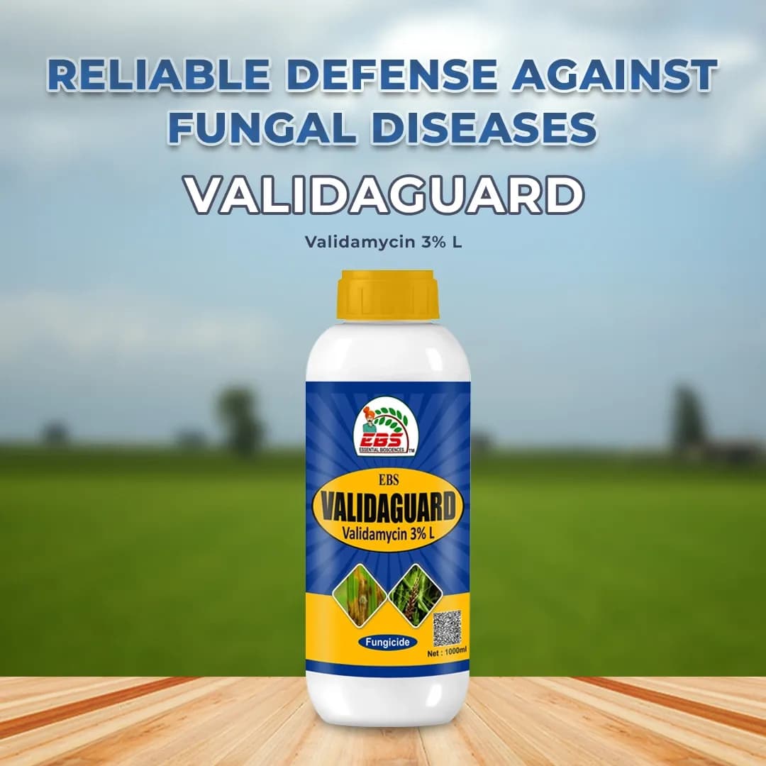 EBS Validaguard Validamycin 3% L Fungicide, Effective Against Soil Borne Diseases - Image 2