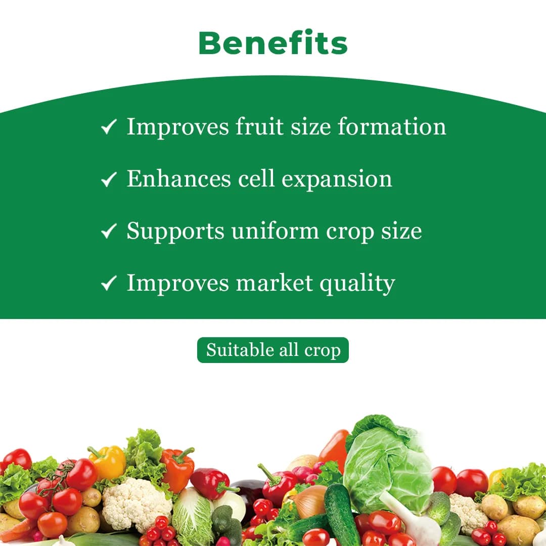 Anand Bold Size (Grapes Special) Bio Stimulant, For Size, Growth, Color And Shelf Life Of Grapes - Image 4