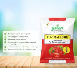 Water Pheromone Trap With TU-TOM Pheromone Lure (Tuta Absoluta ,Tomato Leafminer) for Tomato, Cherry Tomato, and Potato. 4