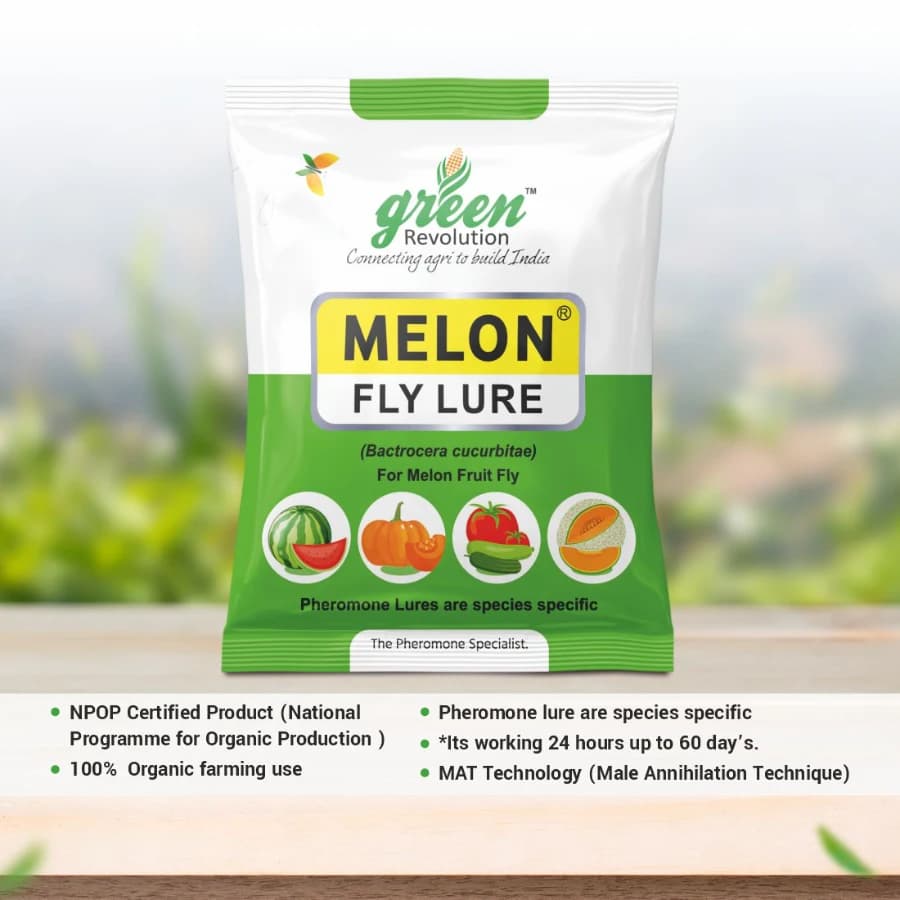Green Revolution Yellow IPM Trap With Melon Fly Lure, Effective For Fly Control In Vegetable - Image 3