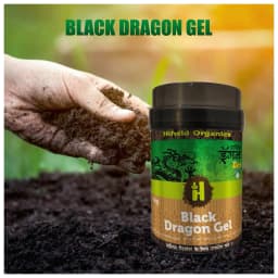 Black Dragon Gel (Humic Acid + Seaweed + Fulvic Acid) Natural Organic Fertilizer Containing Micro and Macro Nutrients, Suitable for all Crops 4