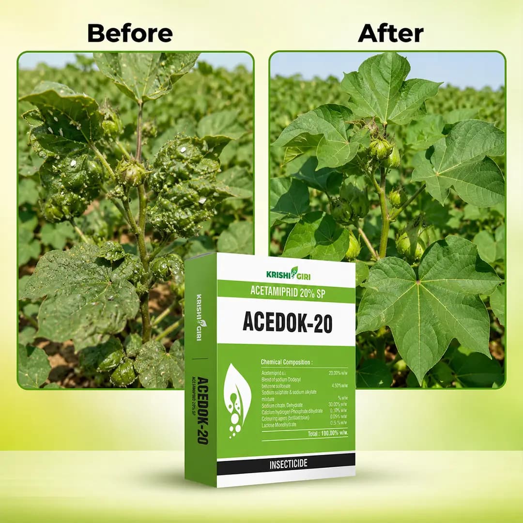 ఎసిడాక్-20 క్రిమిసంహారిణి - ఎసిటామిప్రిడ్ 20% SP - Image 3