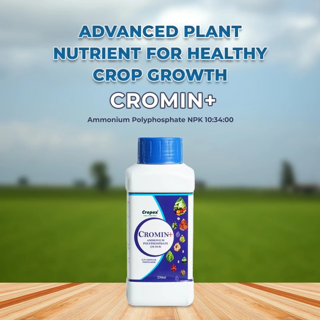 Cromin+ Ammonium Polyphosphate - 10:34:0 Fertilizer