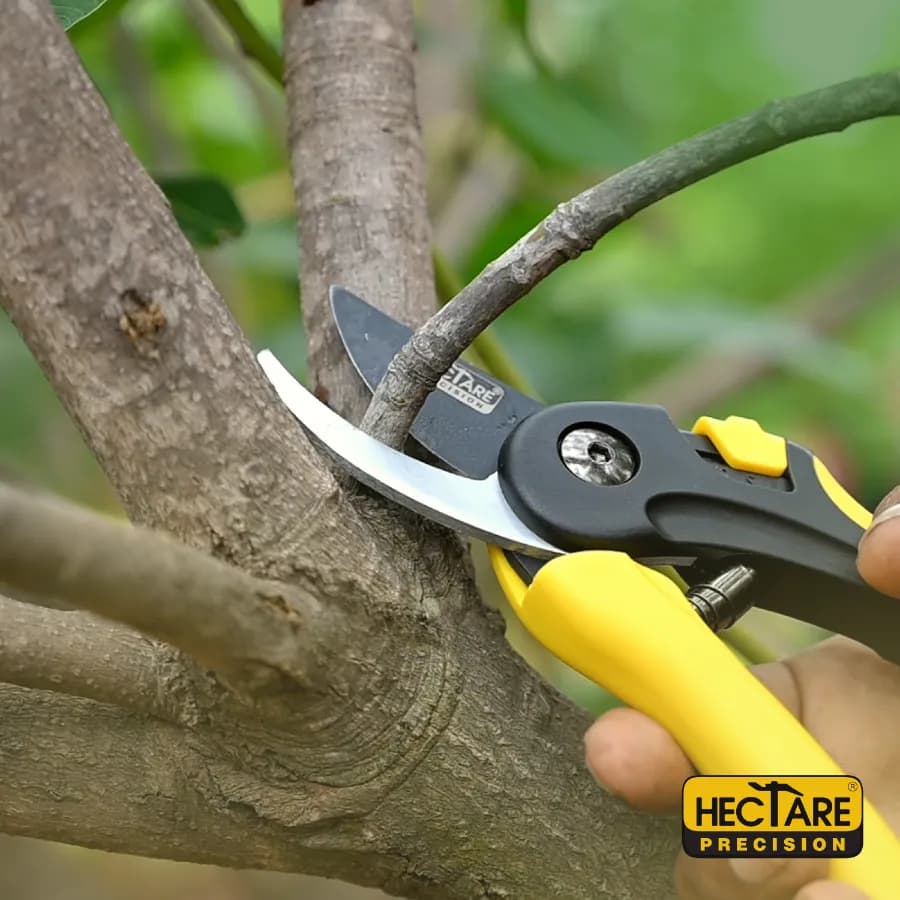 Hectare Precision Garden Pruning Secateur (Bypass Pruner), Plant Cutter For Home Garden, Ensures Smooth And Clean Cuts For Green And Soft Branches. - Image 6