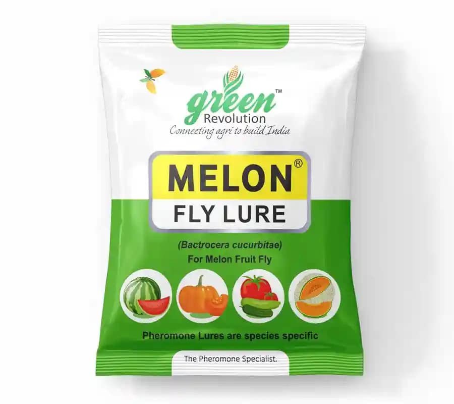 IPM Trap With Melon Fly Pheromone Lure For Controlling Bactrocera Cucurbitae. For Cucumber, Bottle Gourd, Bitter Gourd, Pumpkin, Water Melon - Image 3