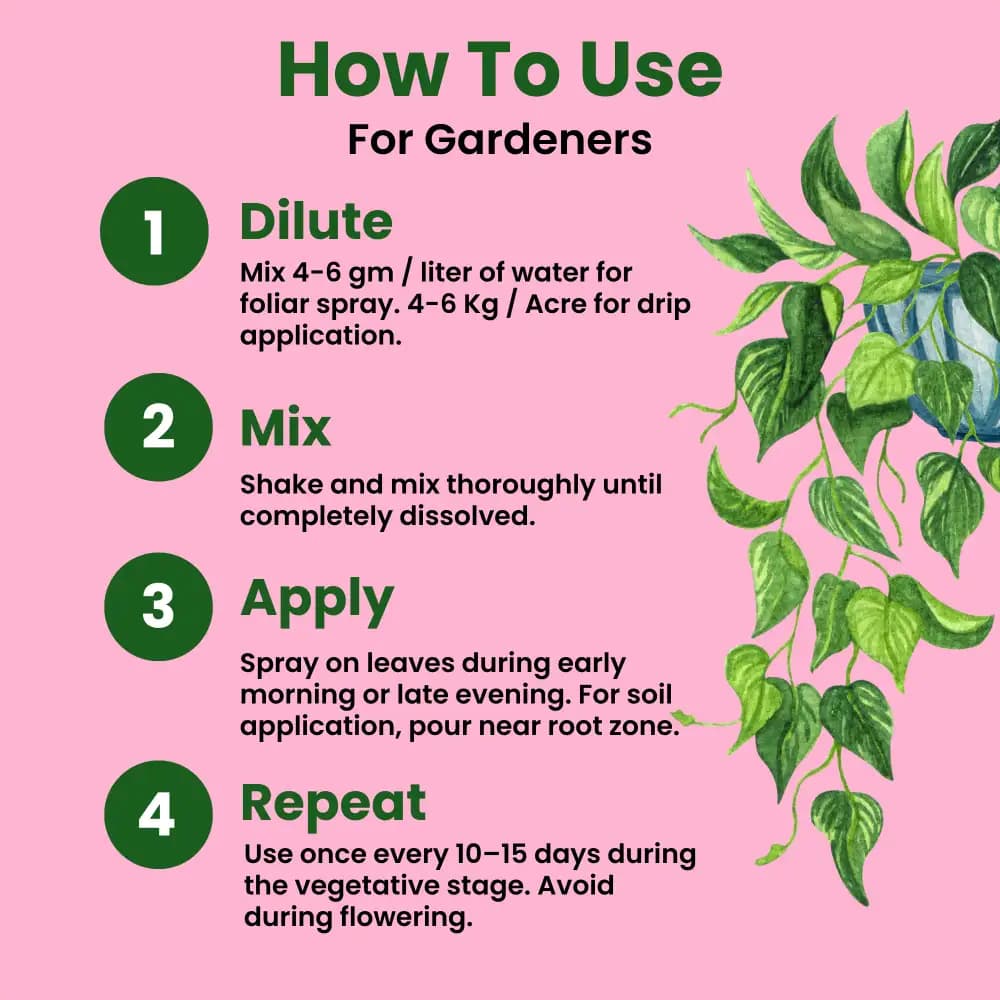 Utkarsh Calcium Nitrate Ca(NO3)2 (100% Water Soluble Fertilizer) For Foliar Spray and Irrigation - Image 4